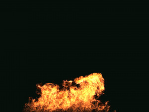 fumefx large scale fire Modello 3D