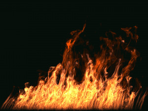 fumefx large scale fire 3D Model