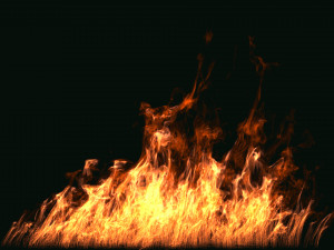 fumefx large scale fire 3D Model