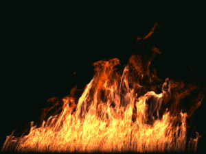 fumefx large scale fire 3D Model