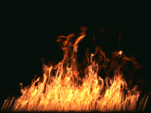 fumefx large scale fire 3D Model