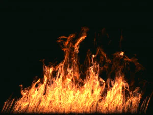 fumefx large scale fire 3D Model