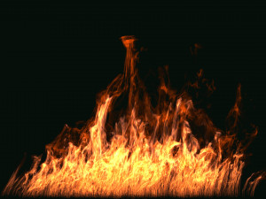 fumefx large scale fire 3D Model