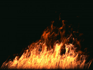 fumefx large scale fire 3D Model