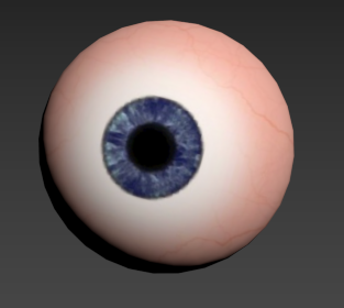 Eye Free 3d Model In Anatomy 3dexport