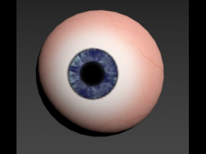 eye 3D-Modell