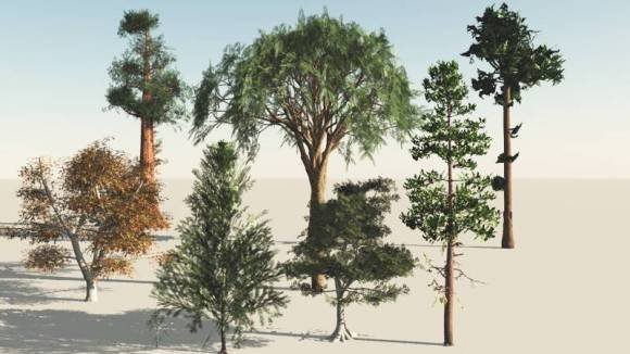 trees pack 3D 模型 .c4d .max .obj .3ds .fbx .stl .blend 