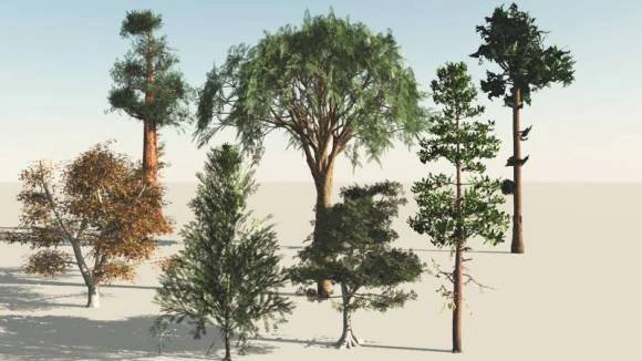 trees pack 3D Model .c4d .max .obj .3ds .fbx .stl .blend