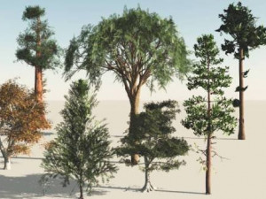 trees pack 3D Model