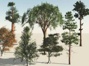 pacote de &aacute;rvores Modelo 3D