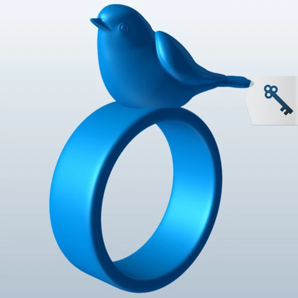 ring 3D Model .c4d .max .obj .3ds .fbx .stl .blend 