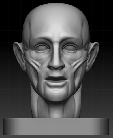 ecorche 3D Model .c4d .max .obj .3ds .fbx .stl .blend 