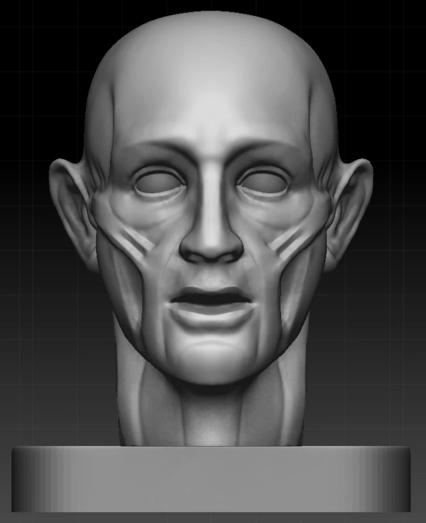 ecorche 3D Model .c4d .max .obj .3ds .fbx .stl .blend 