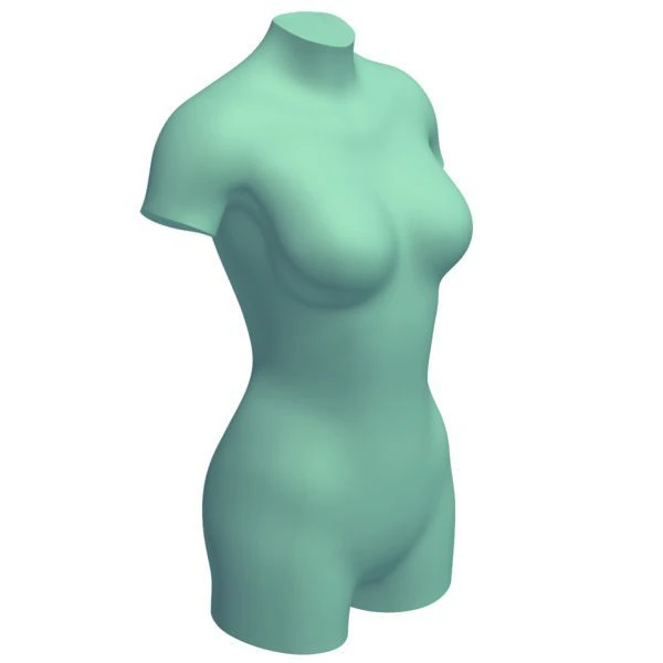 female body 3D Print Model .c4d .max .obj .3ds .fbx .stl .blend 