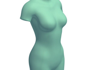 female body 3D Print Model