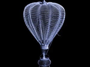 pumpkin - balloon for halloween 3D Model