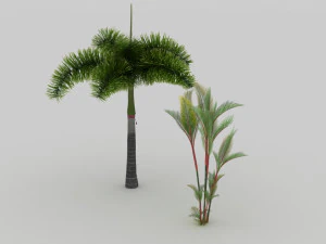 tree 3D Model