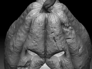 halloween pumpkin 3D Model