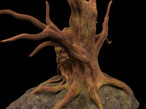tree fantasy druid 3Dモデル