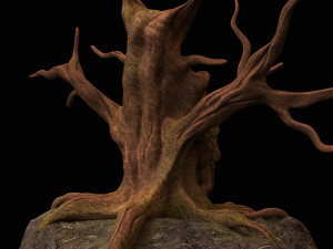 tree fantasy druid 3Dモデル