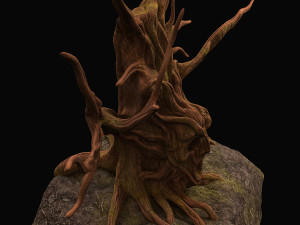 tree fantasy druid 3Dモデル