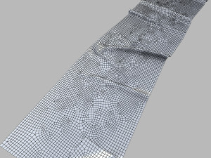 carpet 3D Model