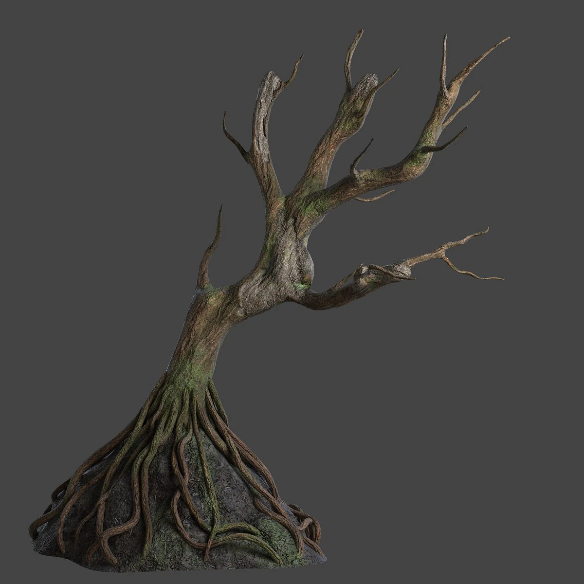 old tree 3D Model .c4d .max .obj .3ds .fbx .stl .blend 