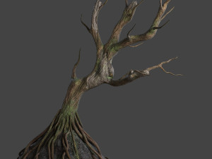 old tree Modèle 3D