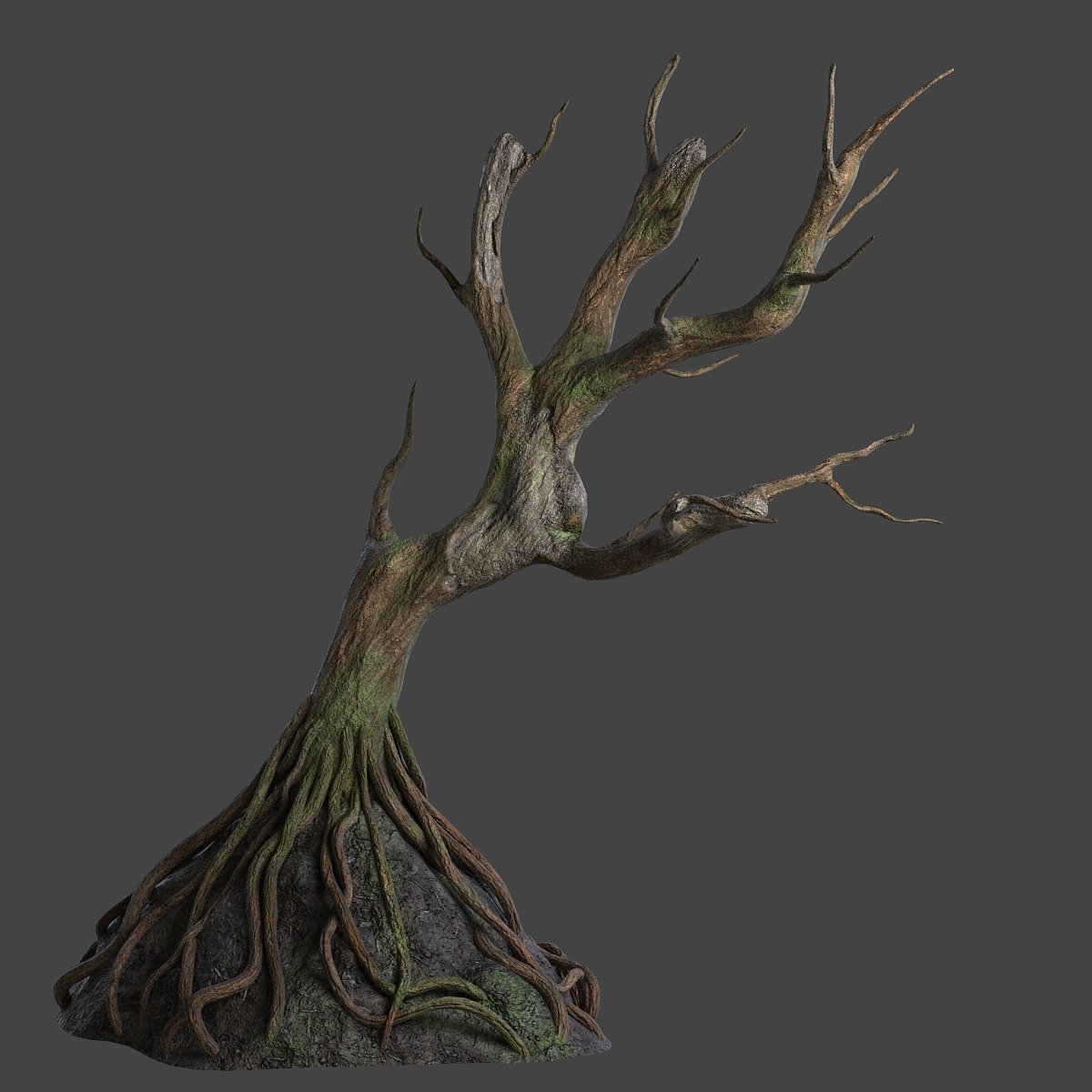 Tree model. Деревья в 3ds Max. Шейдер 3д Макс дерево. Эбеновое дерево 3ds Max. 3d модель сухого дерева.