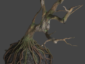 old tree 3D Модель