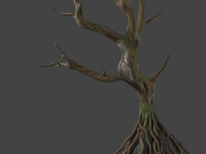 old tree 3D Модель
