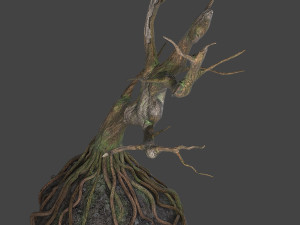 old tree 3D Модель