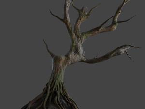 old tree 3D Модель