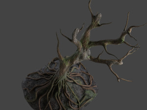 old tree 3D Модель