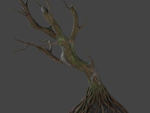 old tree 3D Модель