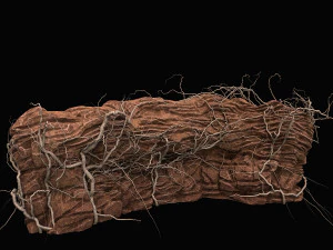 penhasco do deserto Modelo 3D