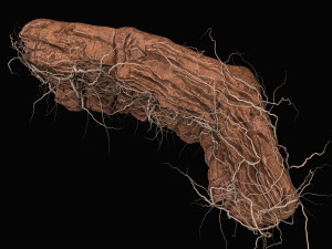 desert cliff Modelo 3D