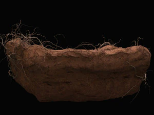desert cliff 3D Model