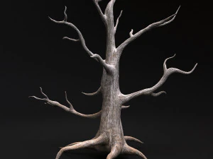 pustynne drzewo Model 3D