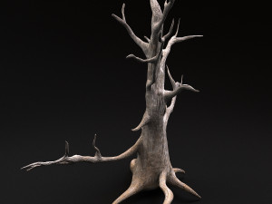 desert tree 3D Модель
