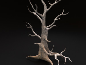 desert tree 3D Модель