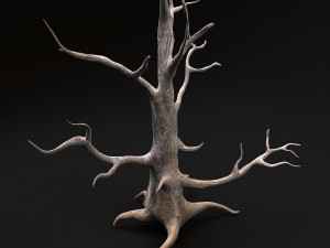 desert tree 3D Модель