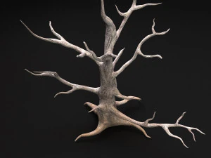 desert tree 3D Model