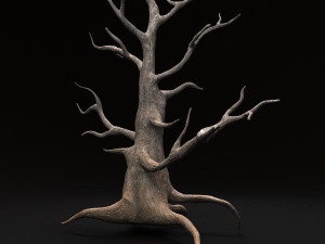 desert tree 3D Модель
