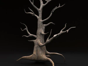desert tree 3D Model