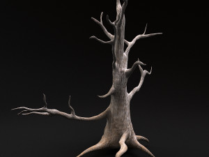 desert tree 3D Модель