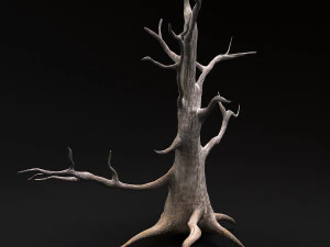 desert tree 3D Model