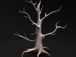 desert tree 3D Модель