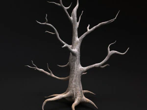 desert tree 3D Model
