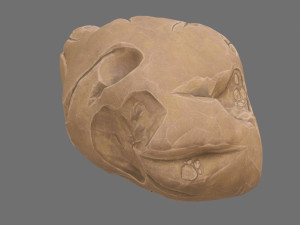 asteroid Modelo 3D